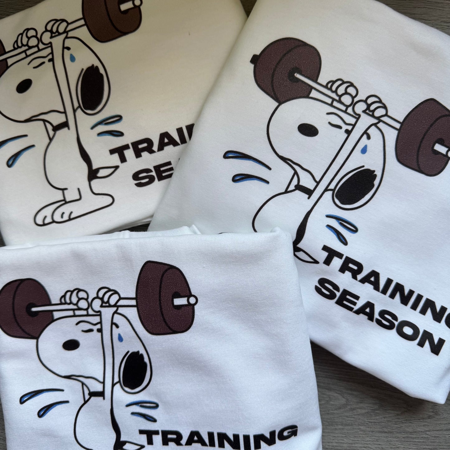 Training Season x Dog Tee
