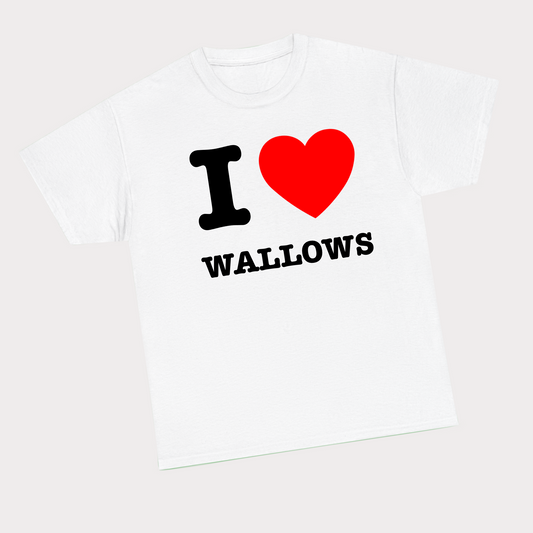 I heart Wallows