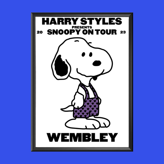 HSLOT Snoopy Wembley n3