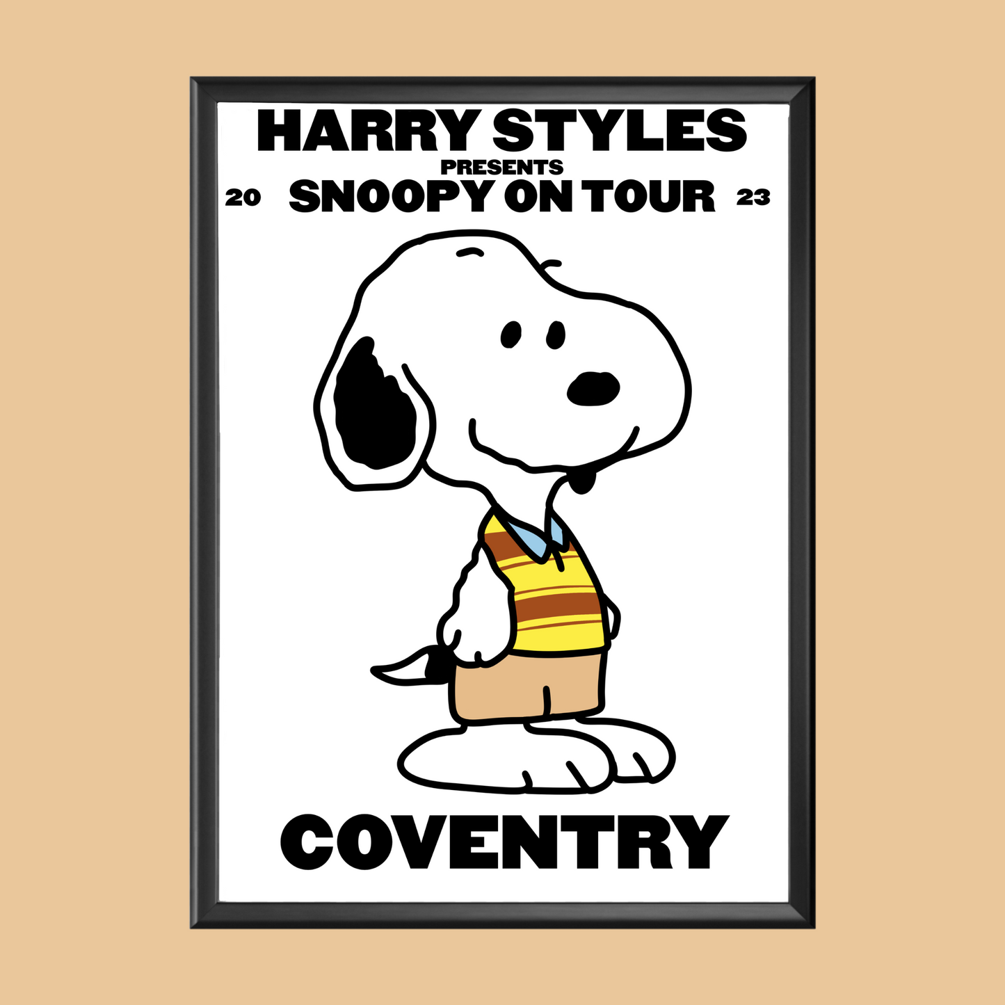 HSLOT Snoopy Coventry n1