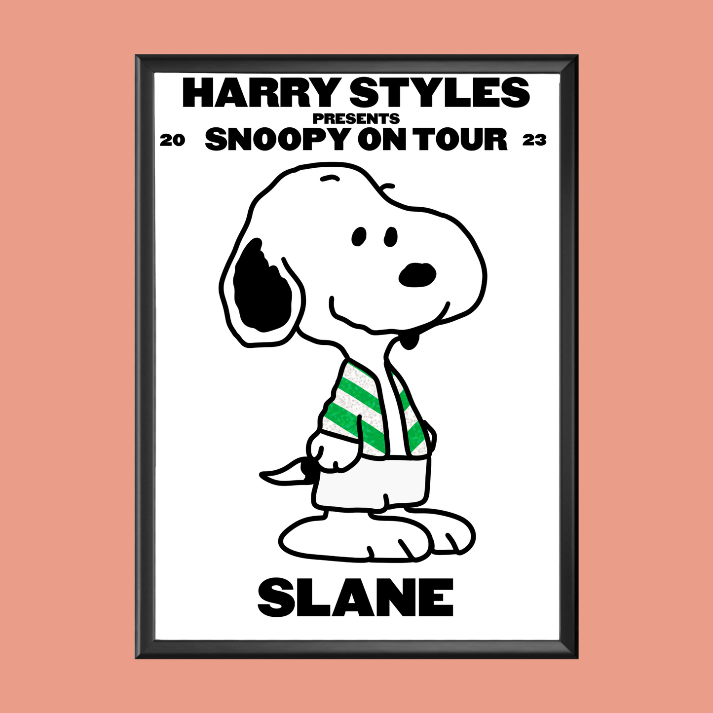 HSLOT Snoopy Slane