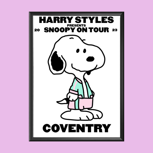 HSLOT Snoopy Coventry n2