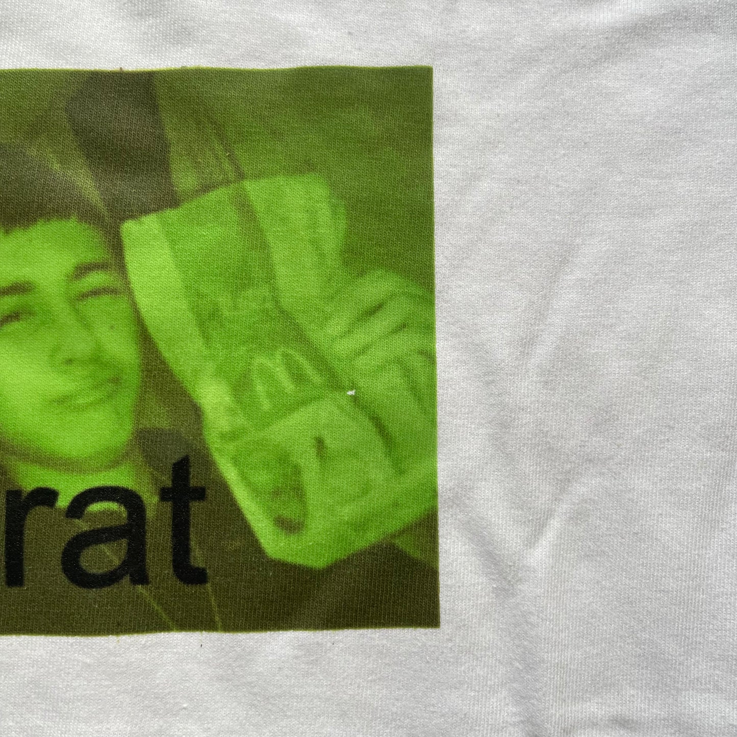 Zayn x Brat tee - XS Baby Tee